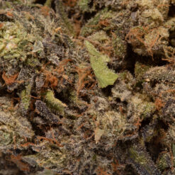 weedsmart_image_Northern Lights (AAA+)
