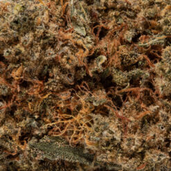 weedsmart_image_Original Z (AAAA+)