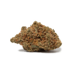 weedsmart_image_Original Z (AAAA+)