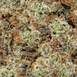 weedsmart_image_Starberry (AAA+)