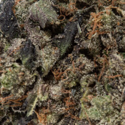 weedsmart_image_Tom Ford Pink Kush (AAAA+)