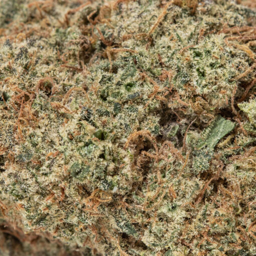 weedsmart_image_Khalifa Kush (AAA+)