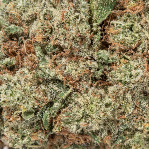 weedsmart_image_Tropic Thunder (AAAA)