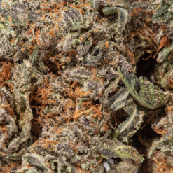 weedsmart_image_Mango Haze (AAAA)