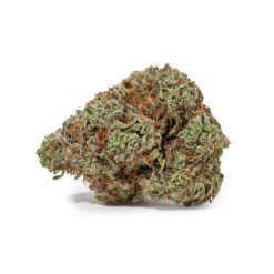 weedsmart_image_Mango Haze (AAAA)