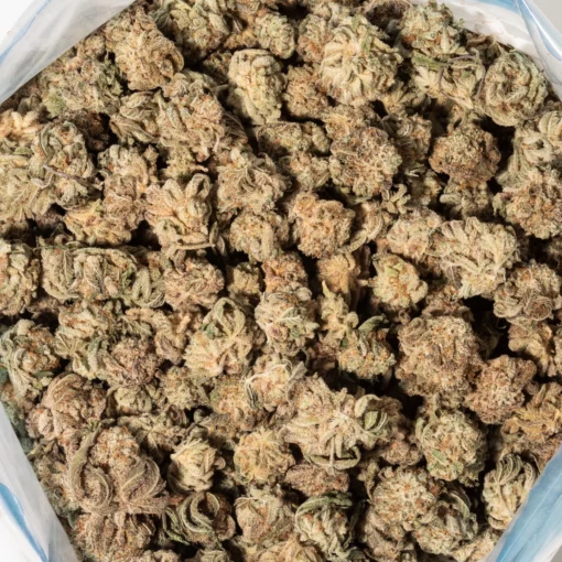weedsmart_image_Goji OG (AAA)