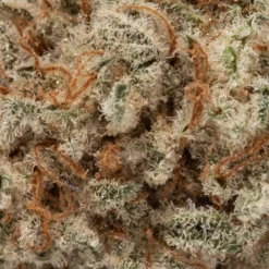 weedsmart_image_Goji OG (AAA)