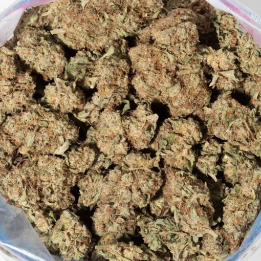 weedsmart_image_Gorilla Glue (AAA)