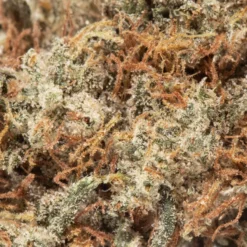 weedsmart_image_Gorilla Glue (AAA)