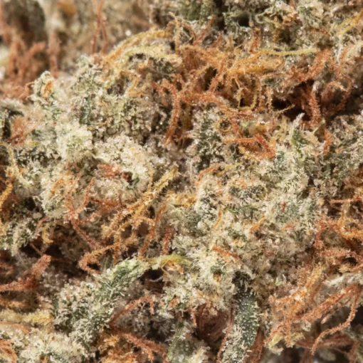 weedsmart_image_Gorilla Glue (AAA)