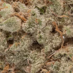 weedsmart_image_Jack Herer (AAAA+)