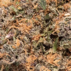 weedsmart_image_Super Boof (AAAAA/Craft)