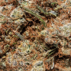 weedsmart_image_gk-wdv-de_GMOCookies_macro