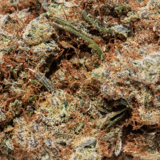 weedsmart_image_gk-wdv-de_GMOCookies_macro