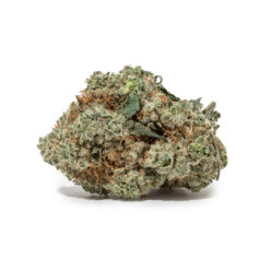 weedsmart_image_Candy Jack (AAAA)