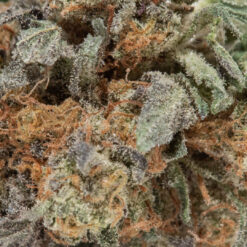 weedsmart_image_Blackberry Cream (AAAA Popcorn)