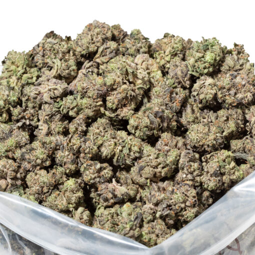 weedsmart_image_Master Kush (AAAA Popcorn)