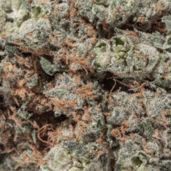 weedsmart_image_Unicorn Poop (AAAA)
