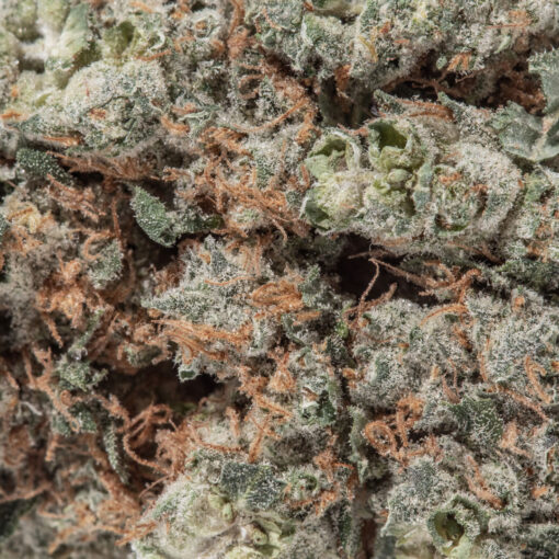weedsmart_image_Unicorn Poop (AAAA)