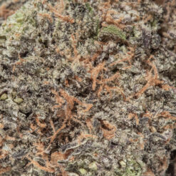 weedsmart_image_Irish Cream (AAAA)