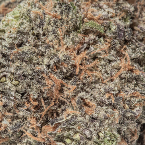 weedsmart_image_Irish Cream (AAAA)