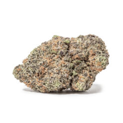 weedsmart_image_Irish Cream (AAAA)
