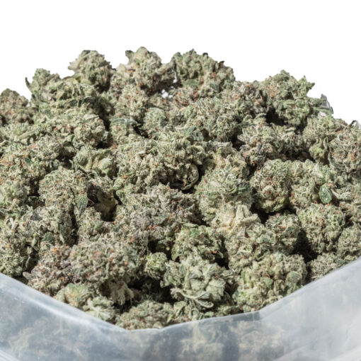 weedsmart_image_Amnesia Haze Popcorn (AAAA)