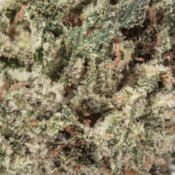 weedsmart_image_Amnesia Haze Popcorn (AAAA)