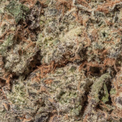 weedsmart_image_Lemon Tree (AAA+)
