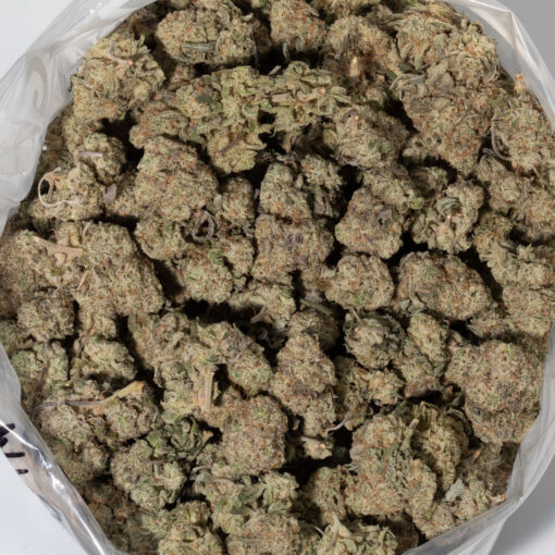 weedsmart_image_Mimosa (AAA)