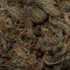 weedsmart_image_Mimosa (AAA)
