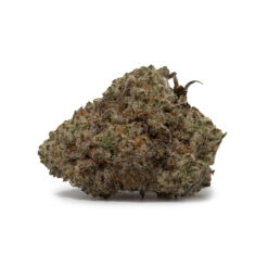 weedsmart_image_Mimosa (AAA)
