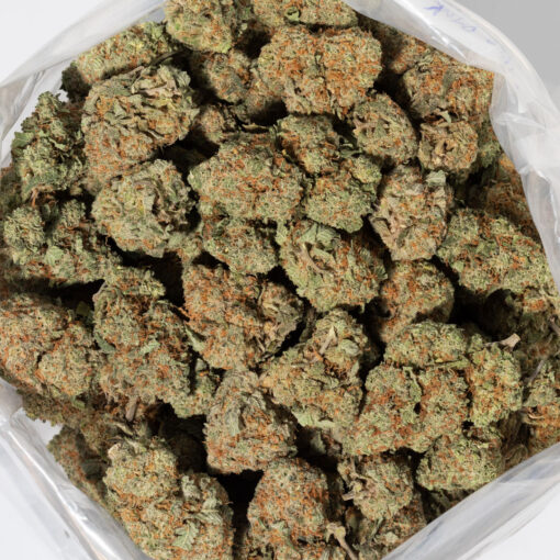 weedsmart_image_God's Gift (AAA+)
