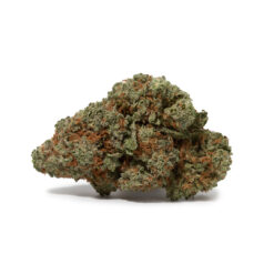 weedsmart_image_God's Gift (AAA+)