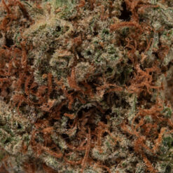 weedsmart_image_AK-47 (AAA)