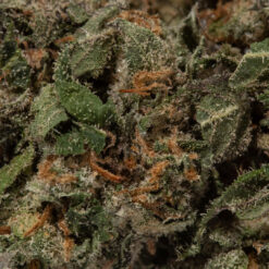weedsmart_image_Rockstar (AAA+)