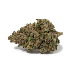 weedsmart_image_Rockstar (AAA+)