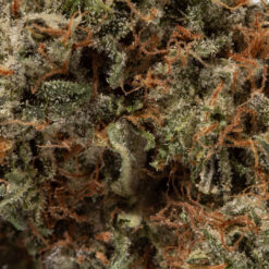 weedsmart_image_Juicy Fruit (AAA+)