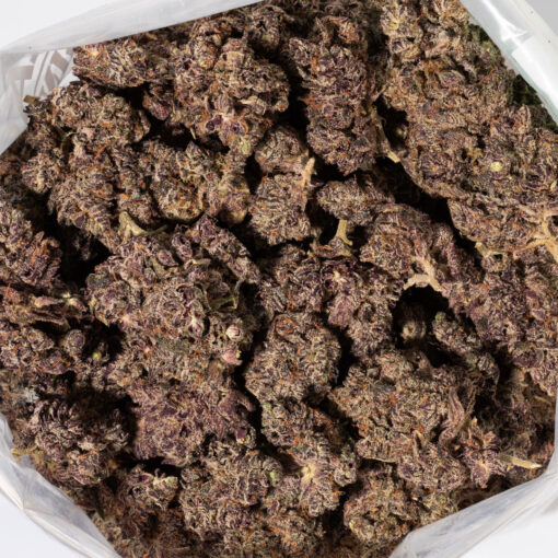 weedsmart_image_White Truffle (AAAAA/Craft)