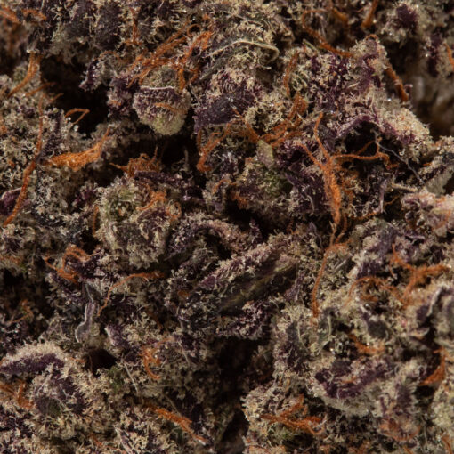 weedsmart_image_White Truffle (AAAAA/Craft)