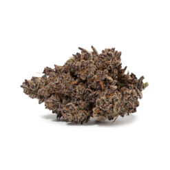 weedsmart_image_White Truffle (AAAAA/Craft)