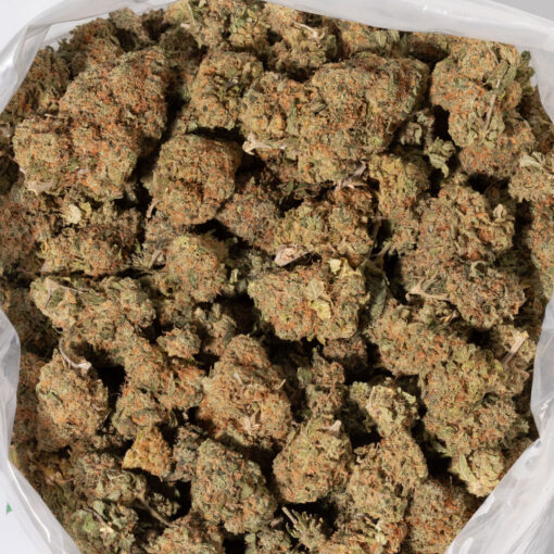 weedsmart_image_Fruit Punch (AAA)