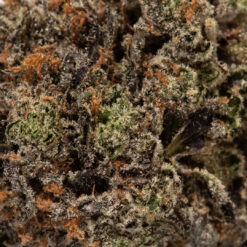 weedsmart_image_Sherbert (AAAA+)
