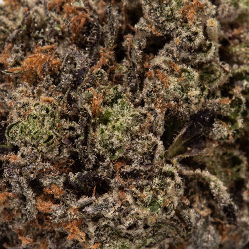 weedsmart_image_Sherbert (AAAA+)