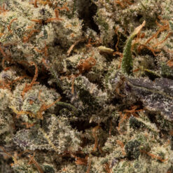 weedsmart_image_Donny Burger (AAAAA/Craft)