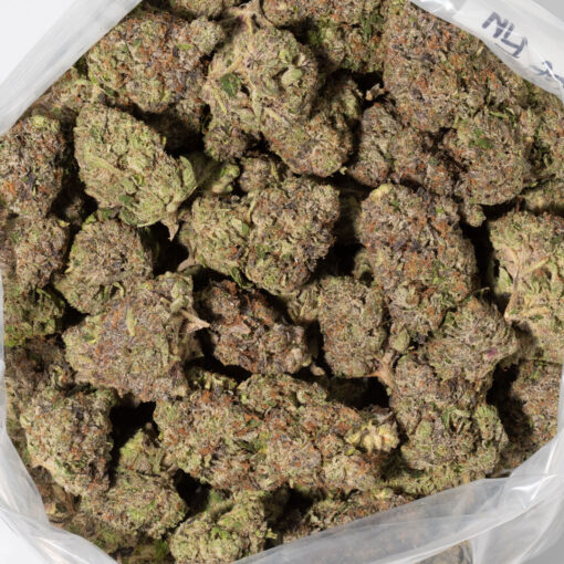 weedsmart_image_Bluefin Tuna (AAAAA/Craft)