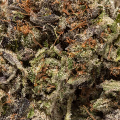 weedsmart_image_Bluefin Tuna (AAAAA/Craft)