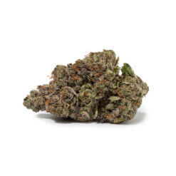 weedsmart_image_Bluefin Tuna (AAAAA/Craft)