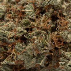 weedsmart_image_Donkey Butter (AAAA)