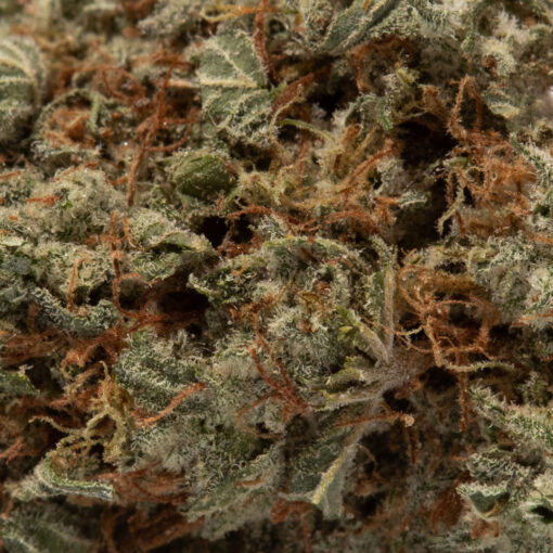 weedsmart_image_Donkey Butter (AAAA)